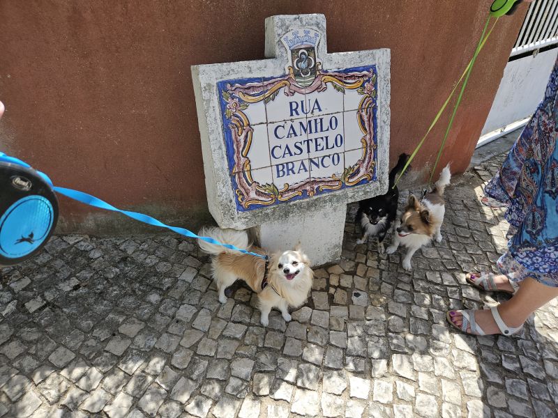 Camillo mit eigener Straße